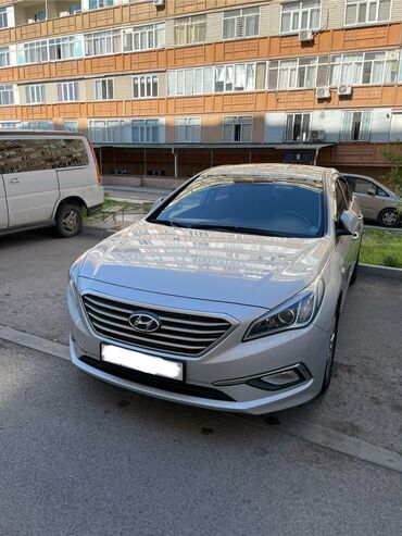 соната 2015: Hyundai Sonata: 2015 г., 2 л, Автомат, Газ, Седан