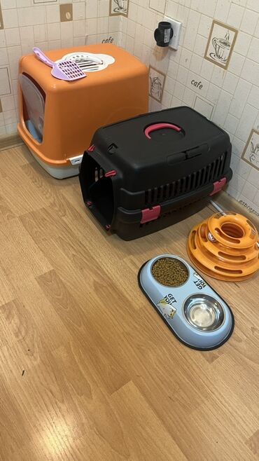 Akvarium aksessuar və ləvazimatları: Pişik üçün tam aksesuar dəsti Dəst tərkibi: - Qapılı, filtrlə