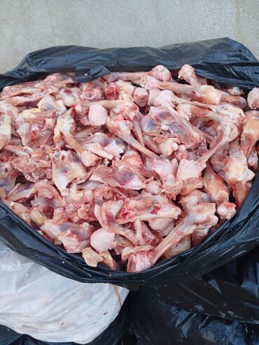 Quş: Itler pisikler ucun nezerde tutulub her gun teze olur sveji sexden — 7