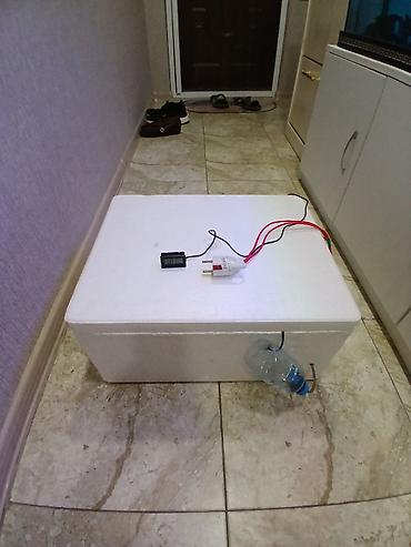 Kənd təssərüfatı avadanlığı: Məhsul: Sadə ev tipli inkubator Salam özüm yığmışam 40 toyuq — 3