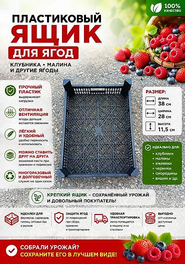Пластиковый ящик для ягод Описание: - Прочный пластиковый ящик для