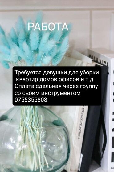 уборщица неполная занятость: Талап кылынат Тазалоочу, Үй, Иш тартиби: Ийкемдүү график, Толук жумуш күнү