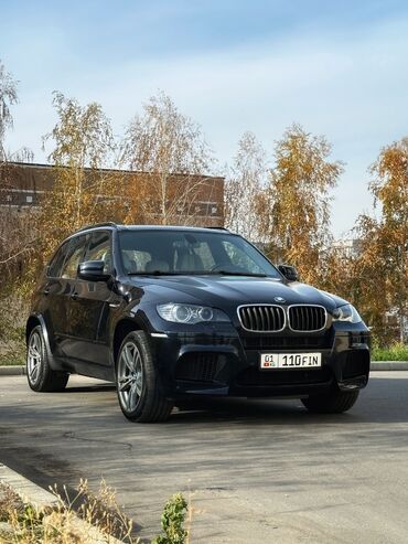 bmw сидения: BMW X5 M: 2011 г., 4.4 л, Автомат, Бензин, Кроссовер