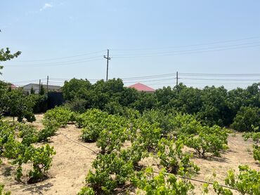 Bağ evlərinin satışı: Bakı, Buzovna, 144 kv. m, 5 otaqlı, Kombi, Qaz, İşıq — 18