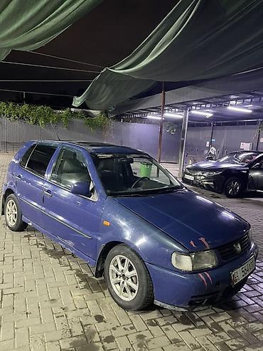 Volkswagen Polo: 1997 г., 1.9 л, Механика, Хэтчбэк
