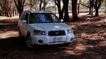 автомобиль ниссан кашкай: Subaru Forester: 2003 г., 2 л, Автомат, Газ, Универсал