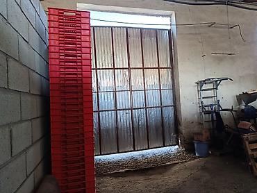 рыбное: Продажа бизнеса Магазин, Продукты, Вместе с: Оборудование и мебель — 6
