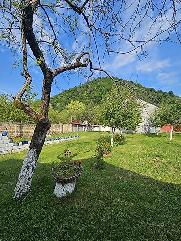 qəbələ ev satışı: 100 kv. m, 3 otaqlı, Hovuzlu, Artezian quyusu, Kanalizasiya, Kombi — 3