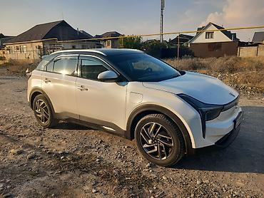 электромобиль новый: Hozon Neta U-II: 2020 г., 0.1 л, Автомат, Электромобиль, Кроссовер — 6