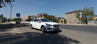 дизель1 9: Hyundai Sonata: 2016 г., 2 л, Автомат, Газ, Седан