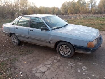 Audi: Audi 100: 1989 г., 0.2 л, Механика, Бензин, Универсал