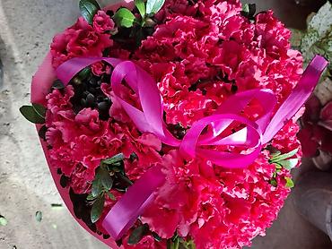 Женское счастье (Спатифиллюм): Спатифиллум (Spathiphyllum), крупное комнатное растение - Эффектный — 9