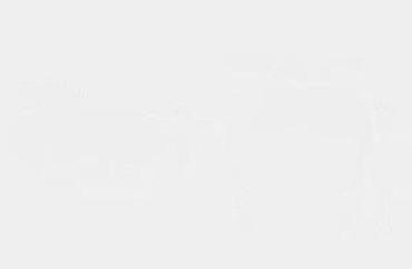 Naočare: Kingseven LC755- Polarizovane naočare za sunce Kingseven LC755- — 19