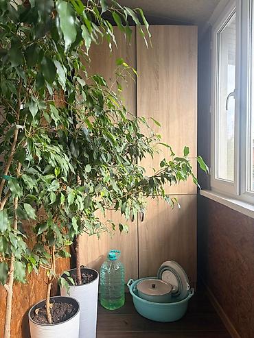 Продажа квартир: 3 комнаты, 61 м², 104 серия, 2 этаж, Евроремонт — 7