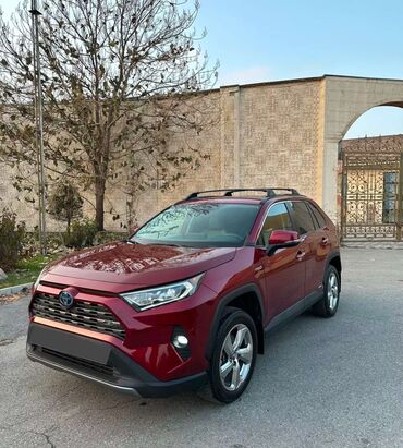 Toyota: Toyota RAV4: 2019 г., 2.5 л, Вариатор, Гибрид, Кроссовер