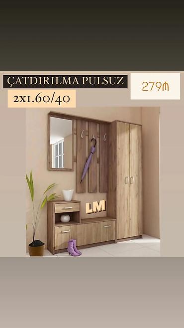 shifoner: Dəhliz üçün çoxfunksiyalı mebel dəsti - Komplekt: asılqan panelləri — 1