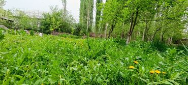 Продажа домов: Дача, 20 м², 6 комнат, Собственник, Евроремонт — 13