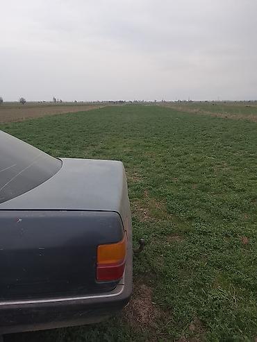 Audi: Audi 100: 1986 г., Седан — 10