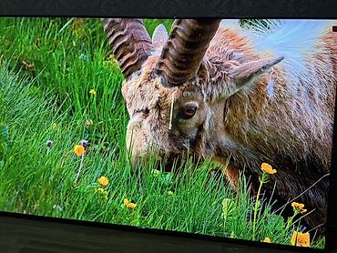 Телевизоры: НОВЫЙ ТЕЛЕВИЗОР TCL Экран: 98 дюймов / 249 см Технология: QD-Mini — 4
