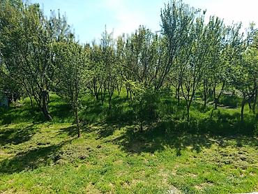 Həyət evi alıram: 🚨TƏCİLİ SATILIR. 📍 Ünvan: Göyçay rayonu, Çaxırlı kəndi 🔹 2 otaqlı ev — 13