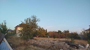 тунгу: 8 соток — 3