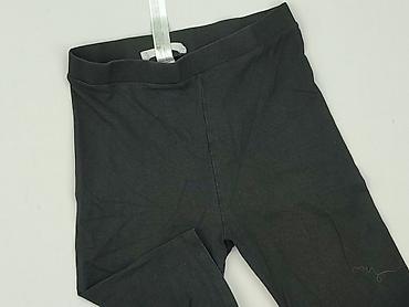 spodenki sprandi: Terranova, Szorty damskie, rozmiar S — 1