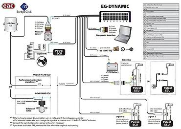 devo tiko: Вариатор угла опережения зажигания ГБО EuropeGAS Dynamic Описание — 3