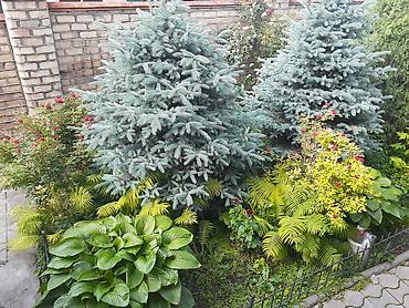 Продажа коттеджей и домов: Продается дом на первой линии по ул. Садырбаева /ул. Ахунбаева — 7