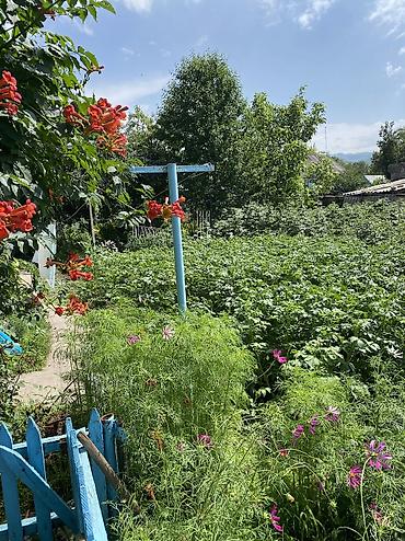 Продажа коттеджей и домов: Продается дом, г. Орловка 8 соток На участке: •Баня(новая) •Сарай — 14
