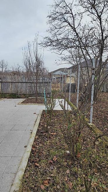 Həyət evləri və villaların satışı: 8 otaq, 172 kv. m, Orta təmir -da lalafo.az — 22 Həyət evləri və villaların satışı: 8 otaq, 172 kv. m, Orta təmir — 22