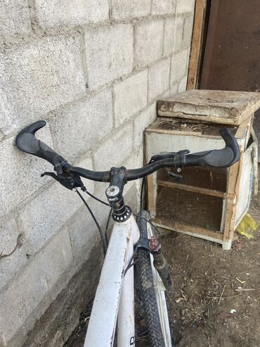 Горные велосипеды: Горный велосипед, Рама M (156 - 178 см), Сталь — 1