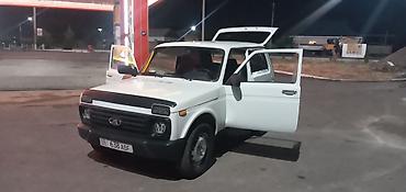 Продажа авто: ВАЗ (ЛАДА) 4x4 Нива: 2011 г., 1.7 л, Механика, Бензин, Внедорожник — 6