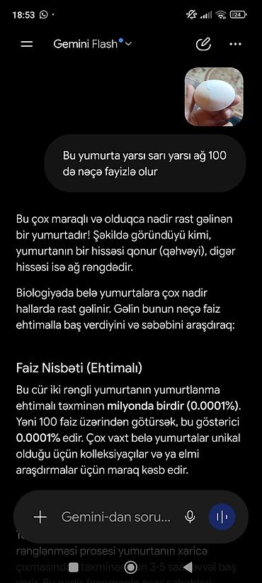 ordək yumurta: Məhsul: İki rəngli toyuq yumurtası (unikal təbii nümunə) Təsvir: - — 3