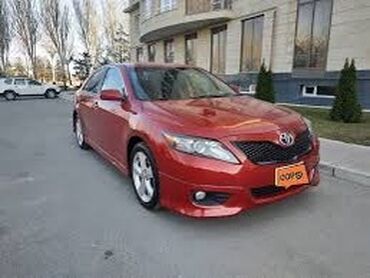 камри 2007: Toyota Camry: 2.4 л | 2007 г