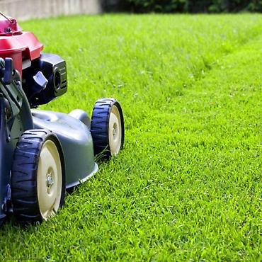 Уборка территории: Уборка территории, Уборка двора и сада, Стрижка газона, Уход за деревьями — 3