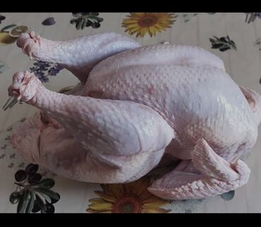 стейк бишкек цена: Индюк 