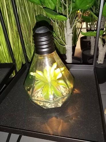 silvercrest mini rerna: VELIKA SIJALICA SA VESTACKOM BILJKOM NOVA LED LAMPA AKCIJA | Cene — 6