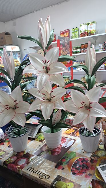 Другое: Другое — 3