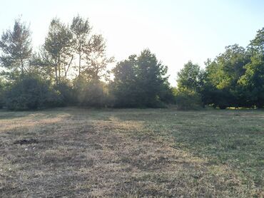 Torpaq sahələrinin satışı: 21 sot, Tikinti, Mülkiyyətçi, Kupça (Çıxarış) — 4
