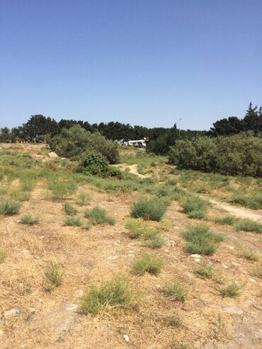 Torpaq sahələrinin satışı: 45 sot, Tikinti, Makler, Kupça (Çıxarış) — 4