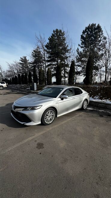 машина лехсус: Toyota Camry: 2019 г., 2.5 л, Автомат, Гибрид