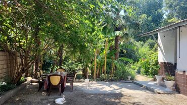 Günlük kirayə evlər: 100 kv. m, 3 otaqlı, Kanalizasiya, Kombi, Qaz — 10