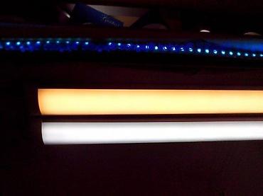 rostilj vrbas: AkCija NEON T8s4 36w 120cm 700din 240x7cm- 72weq.400w. T8s4 36w 120cm — 5