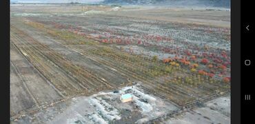 Продажа участков: 160000 соток, Для сельского хозяйства at lalafo.kg — 9 Продажа участков: 160000 соток, Для сельского хозяйства — 9