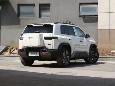 BYD: BYD : 2025 г., Электромобиль, Внедорожник — 4