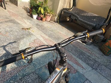 qalin teker velosiped: Горный велосипед Velocruz, 29", Самовывоз