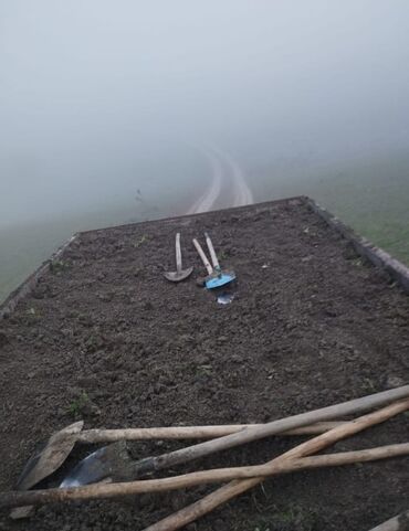 Bağ və bostan üçün digər məhsullar: Torf250litrlik torf perlitli torf20litrlik torf balaken peyin viol — 20