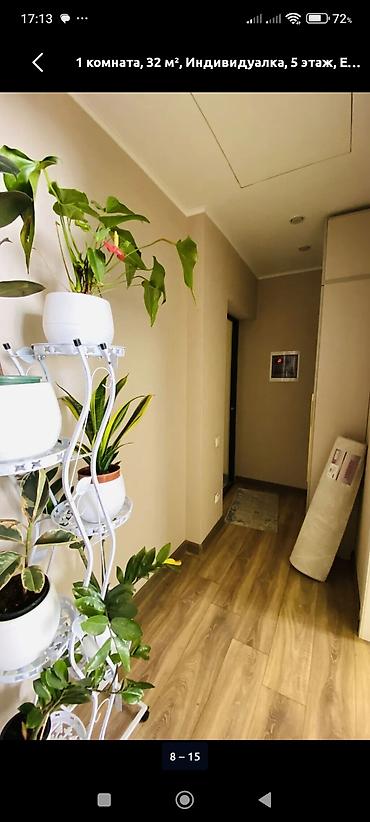 studio apartment: 1 комната, 32 м², Индивидуалка, 5 этаж, Евроремонт — 4