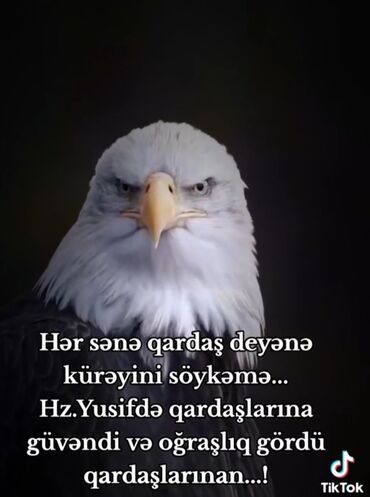 xaricde is elanlari 2023: Satış məsləhətçisi. 1 ildən az təcrübə