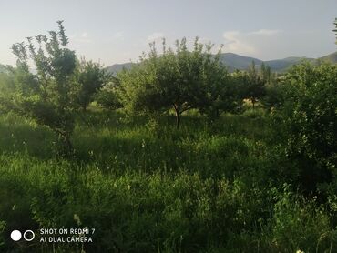 Bağ evlərinin satışı: Lerik, 115 kv. m, 3 otaqlı, İnternet, Telefon, Qaz — 10